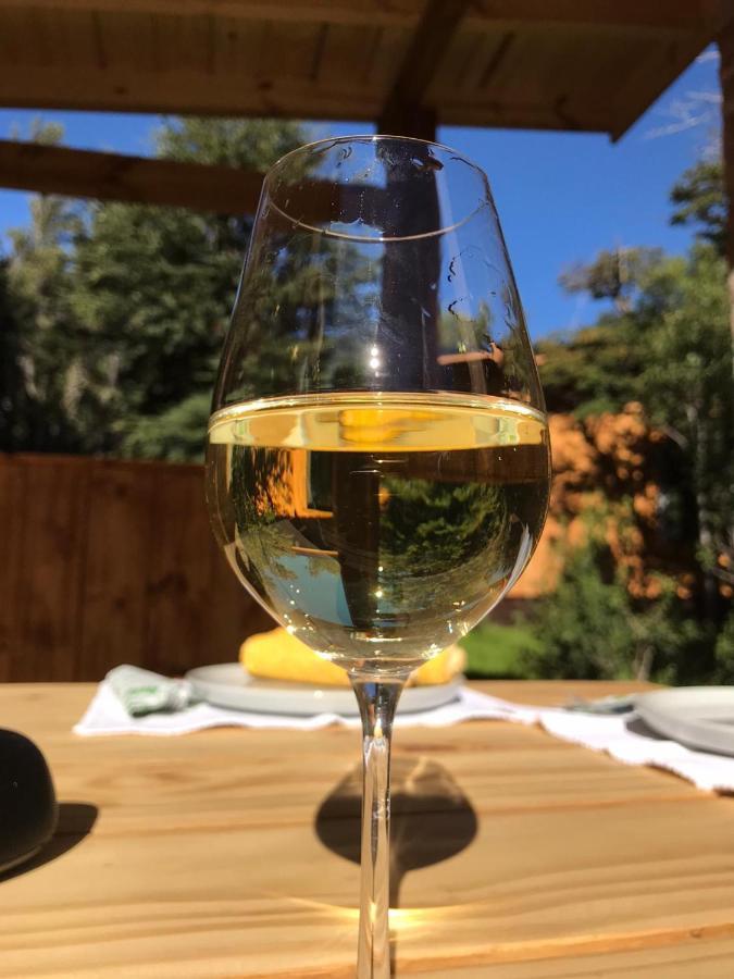 Kingfisher De Los Andes Villa Meliquina Zewnętrze zdjęcie